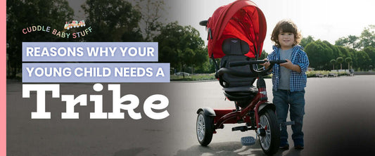 Reasons Why Your Young Child Needs a Trike