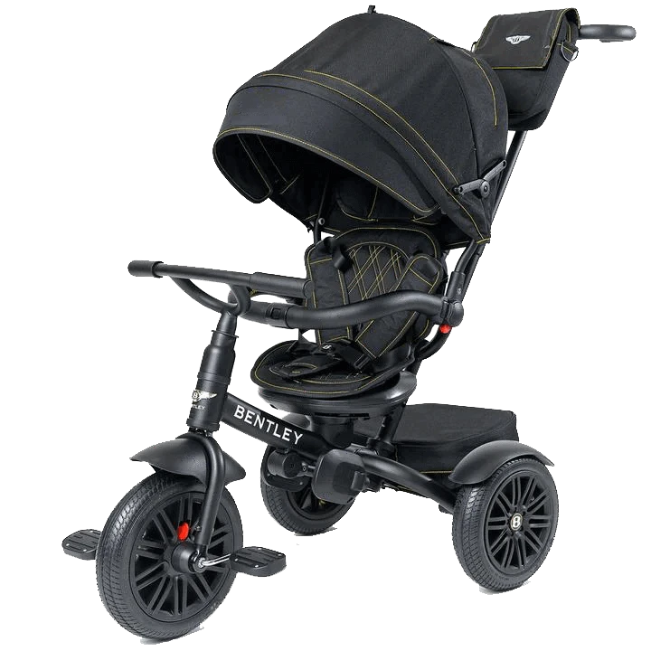 Stroller/Trike