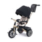 Mulliner Bentley 6-in-1 Stroller / Trike - (Limited Edition) BN1M-GLD